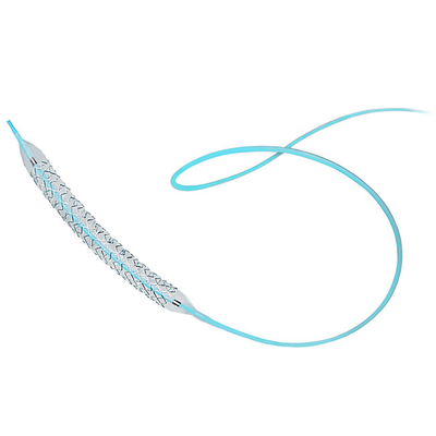 Mettre à jour le système de stent coronaire jetable médical avec certificat Iso